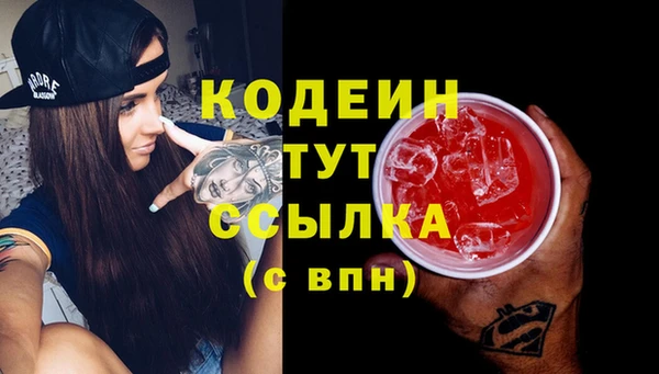 дживик Струнино